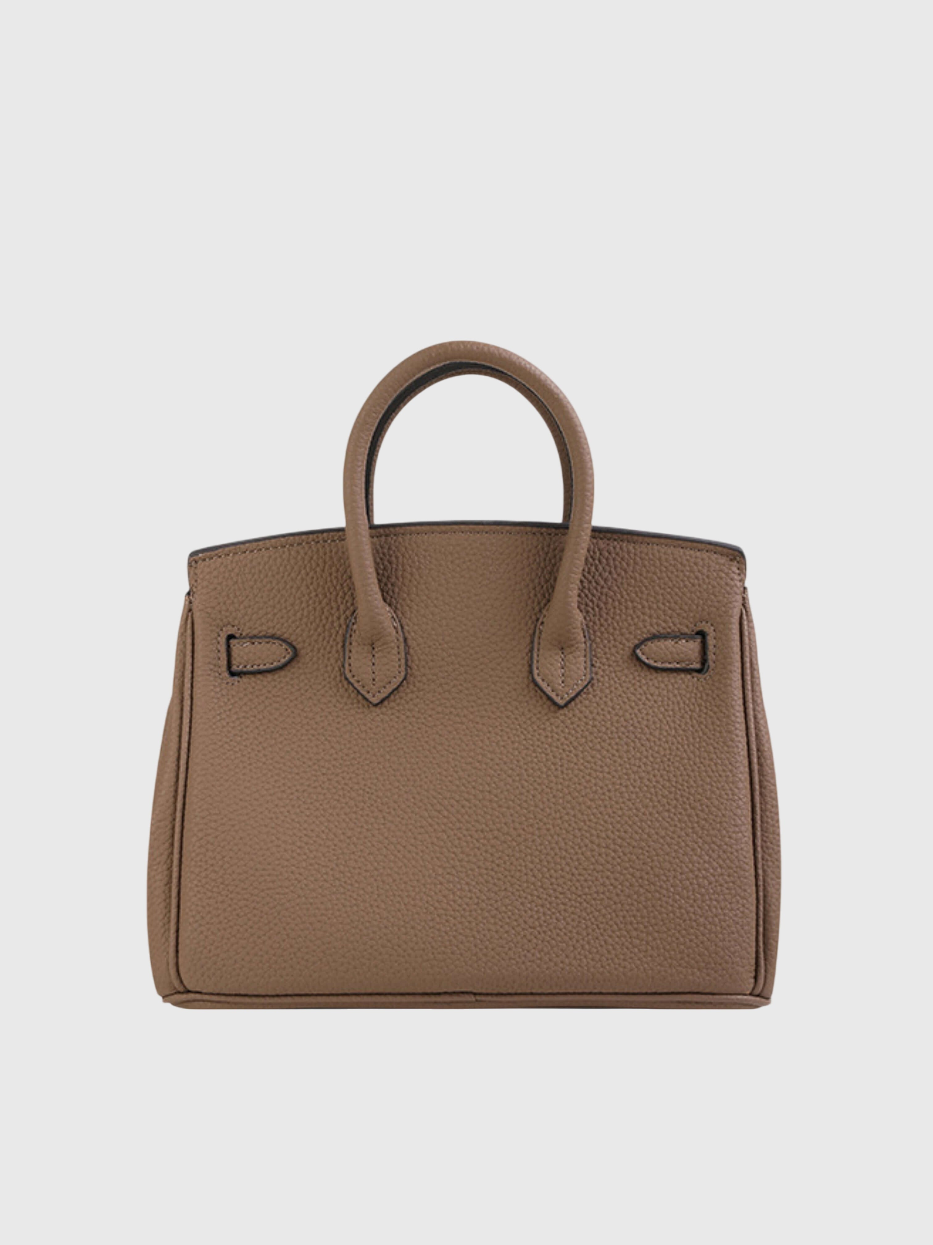 Colette | Structured Petite Lock Bag